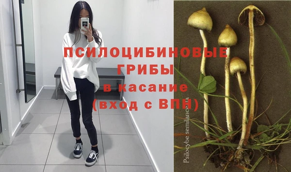 ALPHA-PVP Верхний Тагил