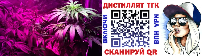 Дистиллят ТГК жижа  Старица 