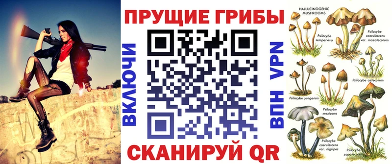 купить Старица Псилоцибиновые грибы Psilocybe