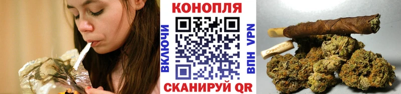 Бошки марихуана сатива  blacksprut ссылки  Старица 